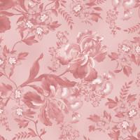 OUT OF PRINT Iris Splendor Pale Rose 2750-20